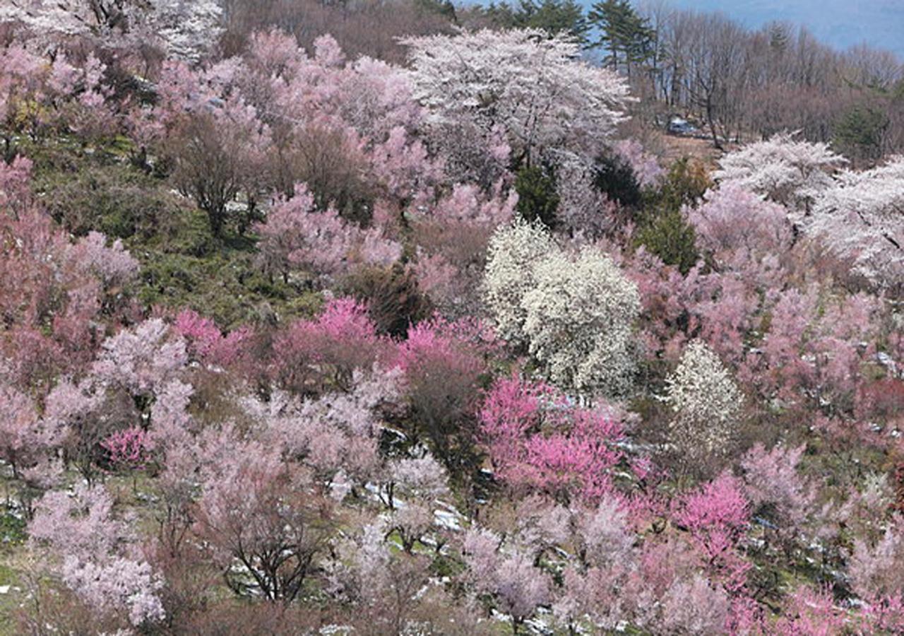 土湯温泉 やすらぎの宿 向瀧旅館 Fukushima  Luaran gambar